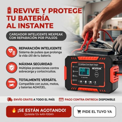 Cargador inteligente 12V