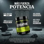 Creatina Monohidratada Vegana 300g